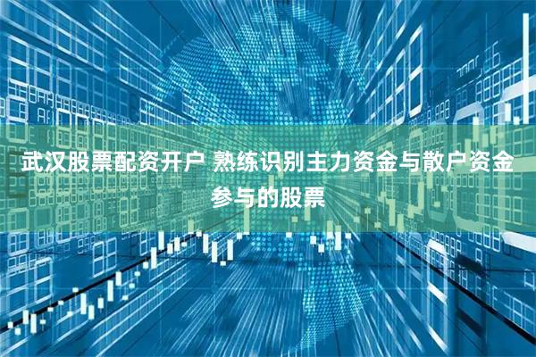 武汉股票配资开户 熟练识别主力资金与散户资金参与的股票